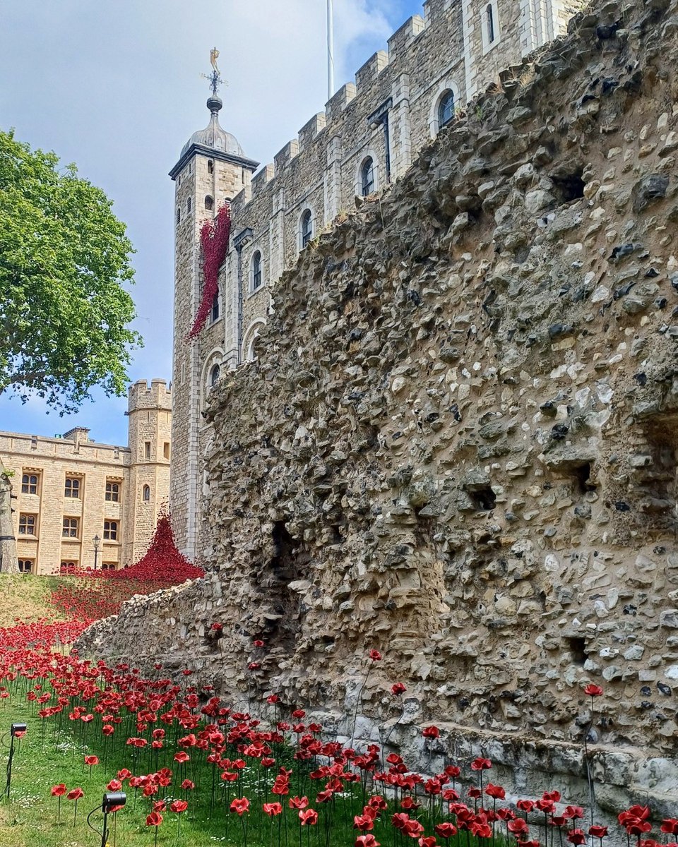 HRP_palaces's tweet image. 🌺 Sharing your photos of the poppies 🌺 It has been so moving to see your photos of the poppies installation at the Tower of London 🏰
Share your photos and stories with us using #TowerPoppies 👇
📸 @RebekkaTenDijke @craigehadfield @Carolinethorley @danielleparker