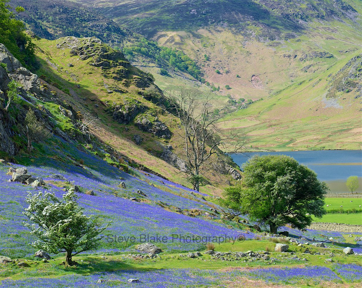 MadeinCumbria's tweet photo. Celebrate Cumbria’s breathtaking landscapes with stunning photographs from Brian Austwick Photography https://t.co/X27oMwhhIg, Steve Blake Photography https://t.co/XhlSgAZBzN, and Jenny Woolgar Photography. https://t.co/xfrrLvNNT3  #NaturePhotographyDay 📷 https://t.co/KeRmmIT6K3