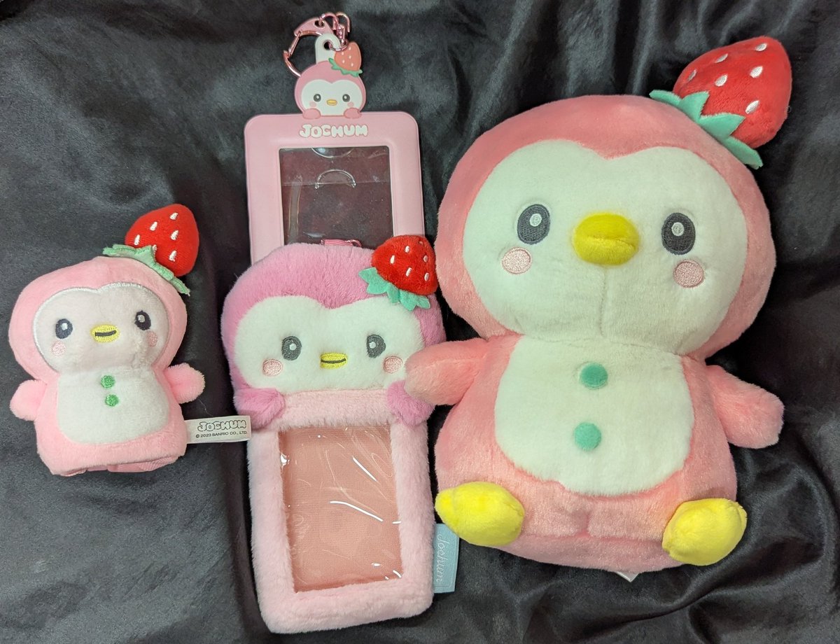 🍓入荷情報🍓 JO1 川西拓実くんのJOCHUM/ぽぽ ぬいぐるみ等グッズが