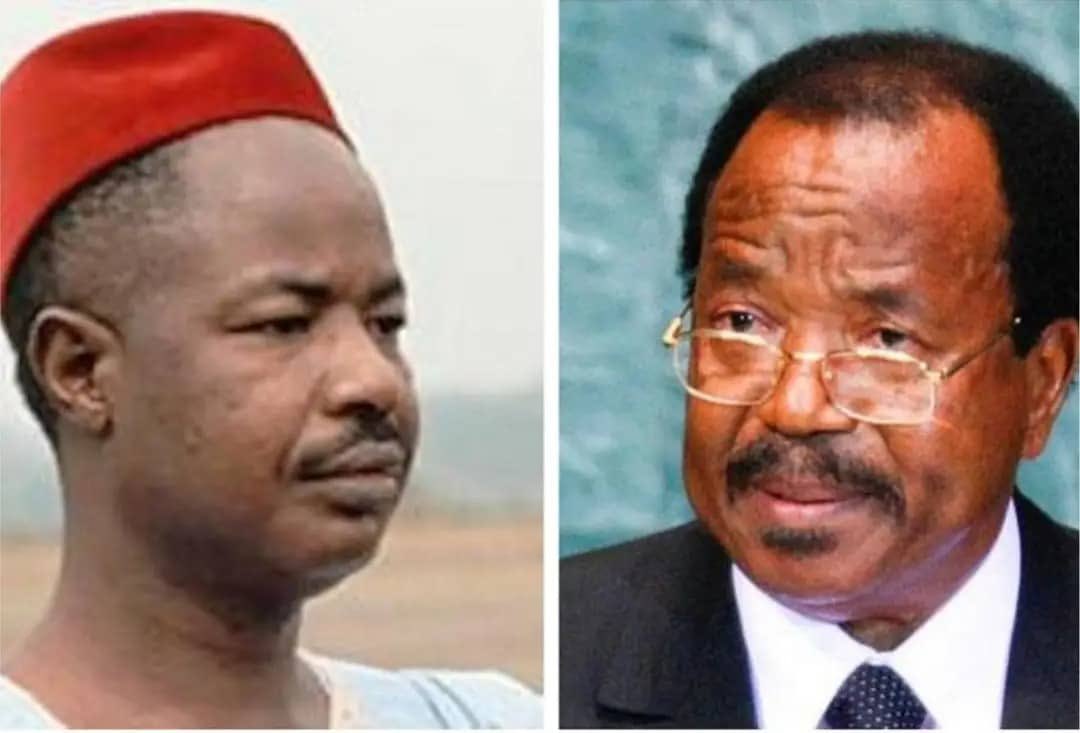 Do you know Cameroonians have known only these two illiterates as president for over 6 decades after so-called independence? 

And they are not even close to having the 3rd president in October.