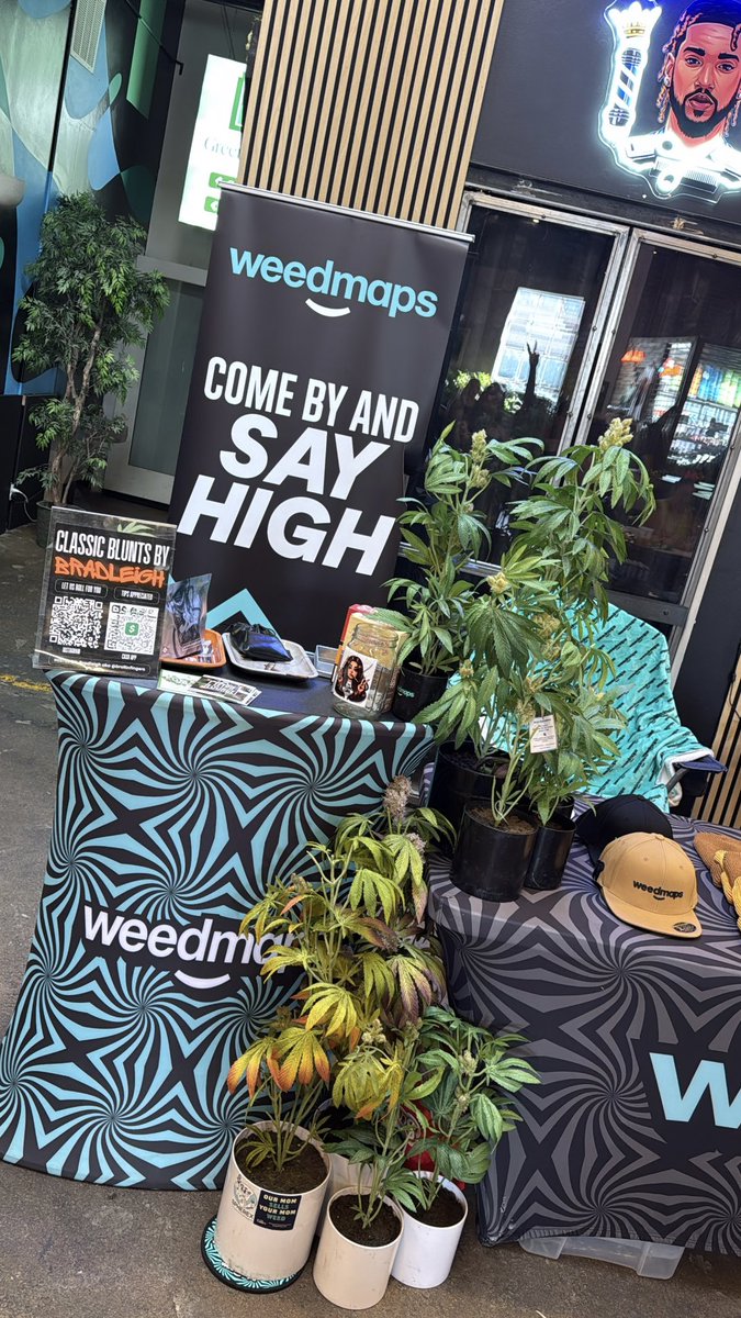 BBLUNTEDltd's tweet photo. Today’s views at the #BackyardBoogie rolling with @slapwoodsonly at the @weedmaps booth 🥰😮💨🫶 https://t.co/GQzYPd9N5L