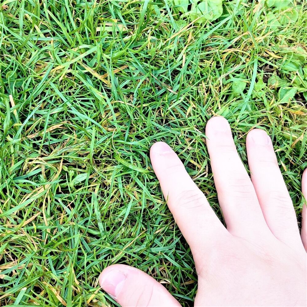 #openseatouchgrass