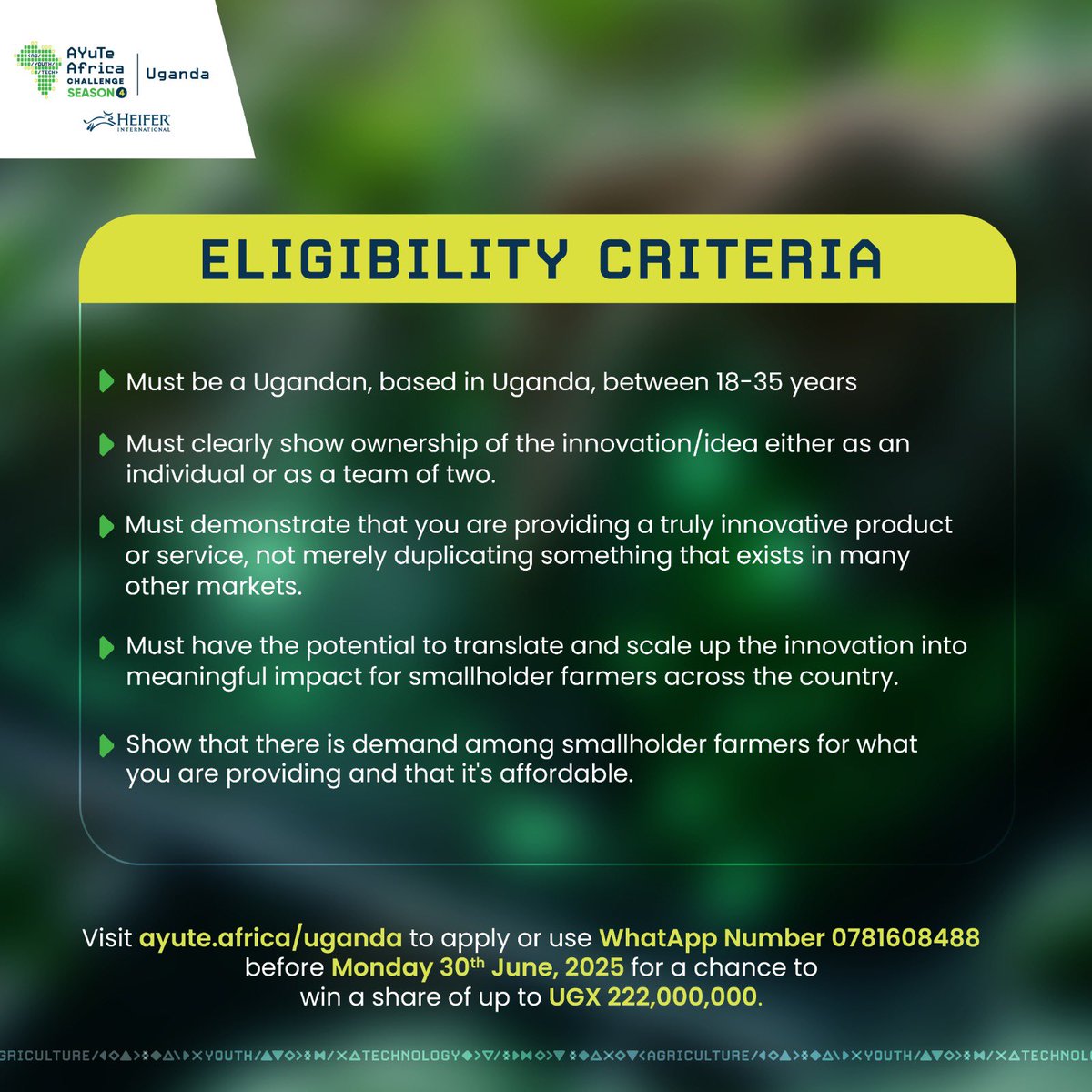 Kash_Dolo's tweet photo. @isabiryehamidu @Heifer_Uganda Dear Isabirye, we are encouraging our rural youth in Agri business with innovations to apply. Here is guidance on how and you can reach us for more guidance to support omuntu wa wansi https://t.co/m2m53pe65T