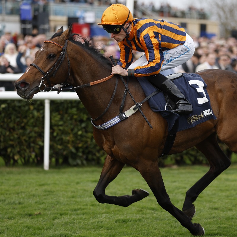 At The Races (@attheraces) on Twitter photo Breaking: Kieran Shoemark is set to reignite his partnership with Dancing Gemini in the Queen Anne at Royal <a href="/Ascot/">Ascot Racecourse</a>! Breaking: Kieran Shoemark is set to reignite his partnership with Dancing Gemini in the Queen Anne at Royal <a href="/Ascot/">Ascot Racecourse</a>!
