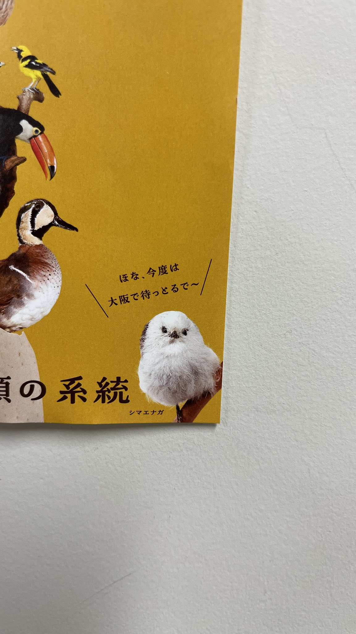 ちゅんちゅん
