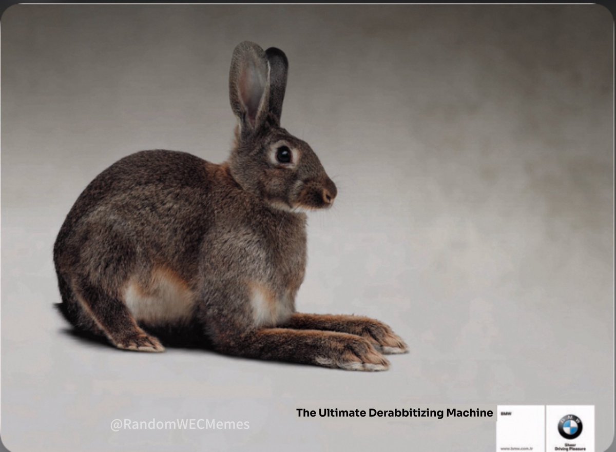 RandomWECMemes's tweet photo. RIP to the Le Mans Rabbit #LeMans24 https://t.co/2nP1UCoDM0