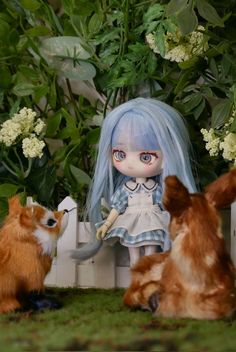 동물 친구들🦊🦌