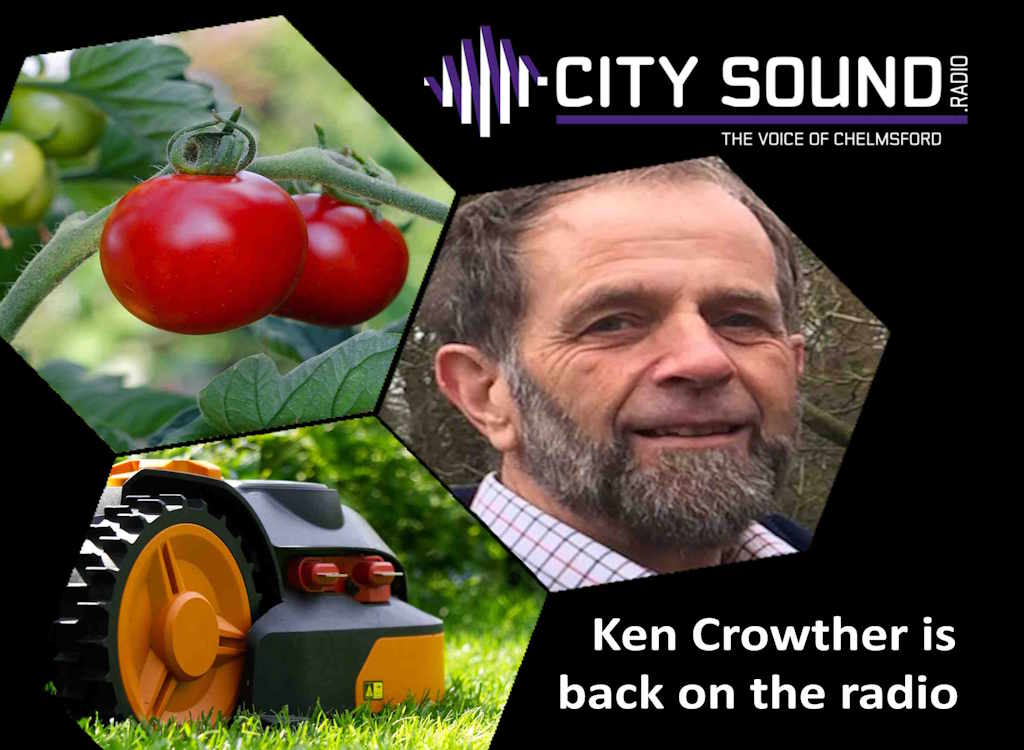 Ken is back on the #radio right now answering your questions.

Listen live <a href="/CS_chelmsford/">City sound</a>  

#gardening #gardeningtips #essex #chelmsford #liveshow #greatbaddow #maldon #MoulshamStreet #melbourne #gardeningadvice #littlewaltham #pleshey #southwoodhamferrers