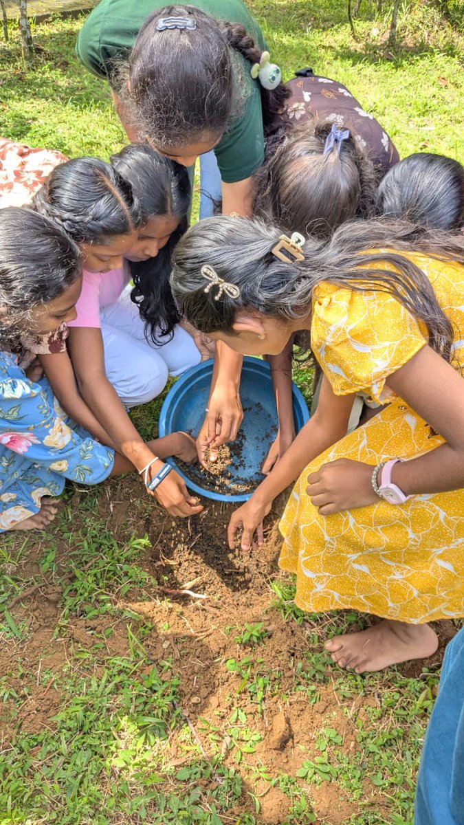 WithoutBorderSL's tweet photo. 🌱💧 It was a hands-on learning experience that inspired them to become future environmental stewards!

#WorldEnvironmentDay #EnvironmentalEducation #WBSL #IdeaLab #ProtectOurPlanet https://t.co/uRla5DxZNr