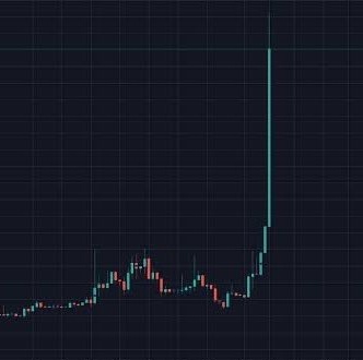 $SHIB KNIGHT tweet media