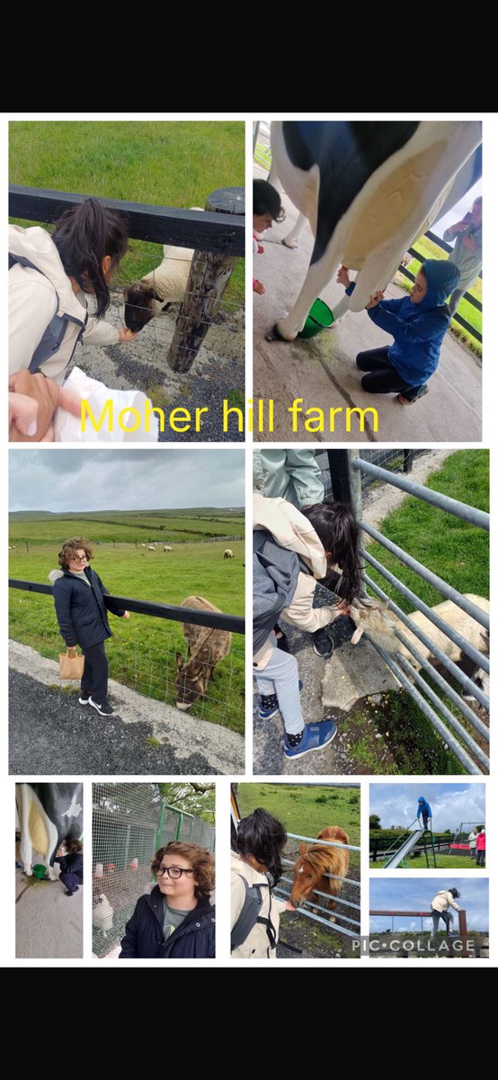 Jasmine class have enjoyed bubble painting, bee hive printing, trips to the planet and our tour to moher hill farm.
