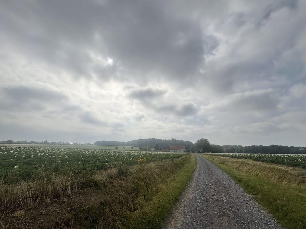 BartNeirynck's tweet photo. #vrtweet Tielt 15/06 om 09.15 https://t.co/z11BOyDR2O