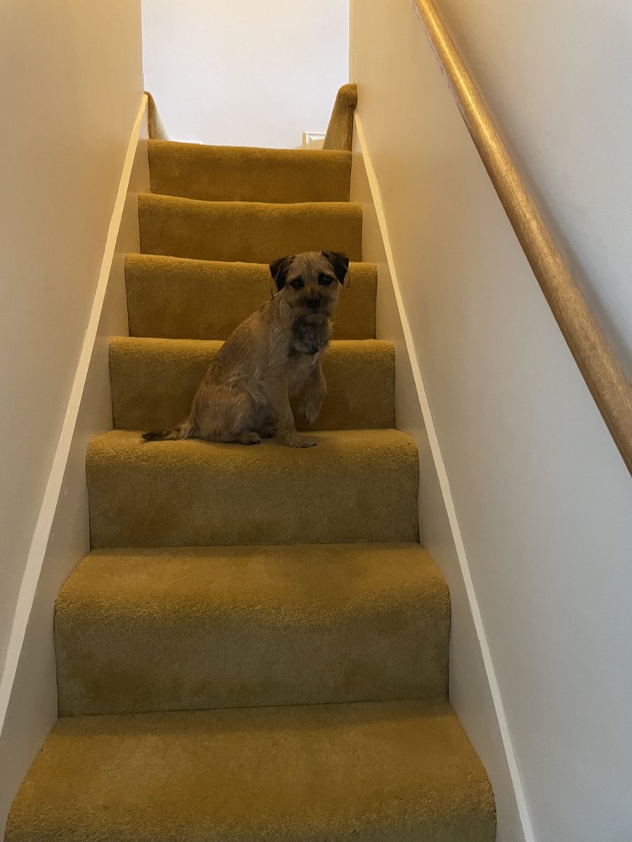 Just coming down to say #HappyFathersDay 🥰

Have a lovely day all the #BTPosse Dads out there ☀️❤️