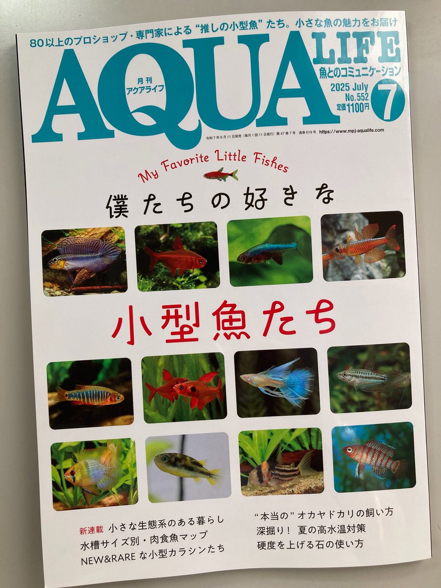 ecriyage's tweet image. 月刊アクアライフ🌿🫧

本屋さんでゲット！✨

#月刊アクアライフ
#アクアライフ
#ボトルアクアリウム
#アクアリウム