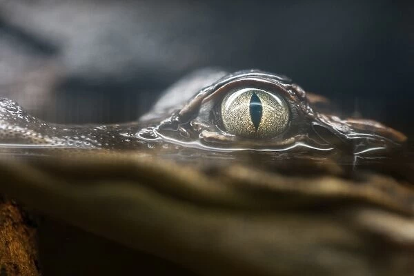 staring at this photo makes me wanna find a glimpse of us idk