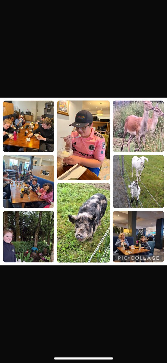 Heather and Sycamore classes had a wonderful time on their school tour at the farm, followed by a lovely lunch at the Radisson Blu