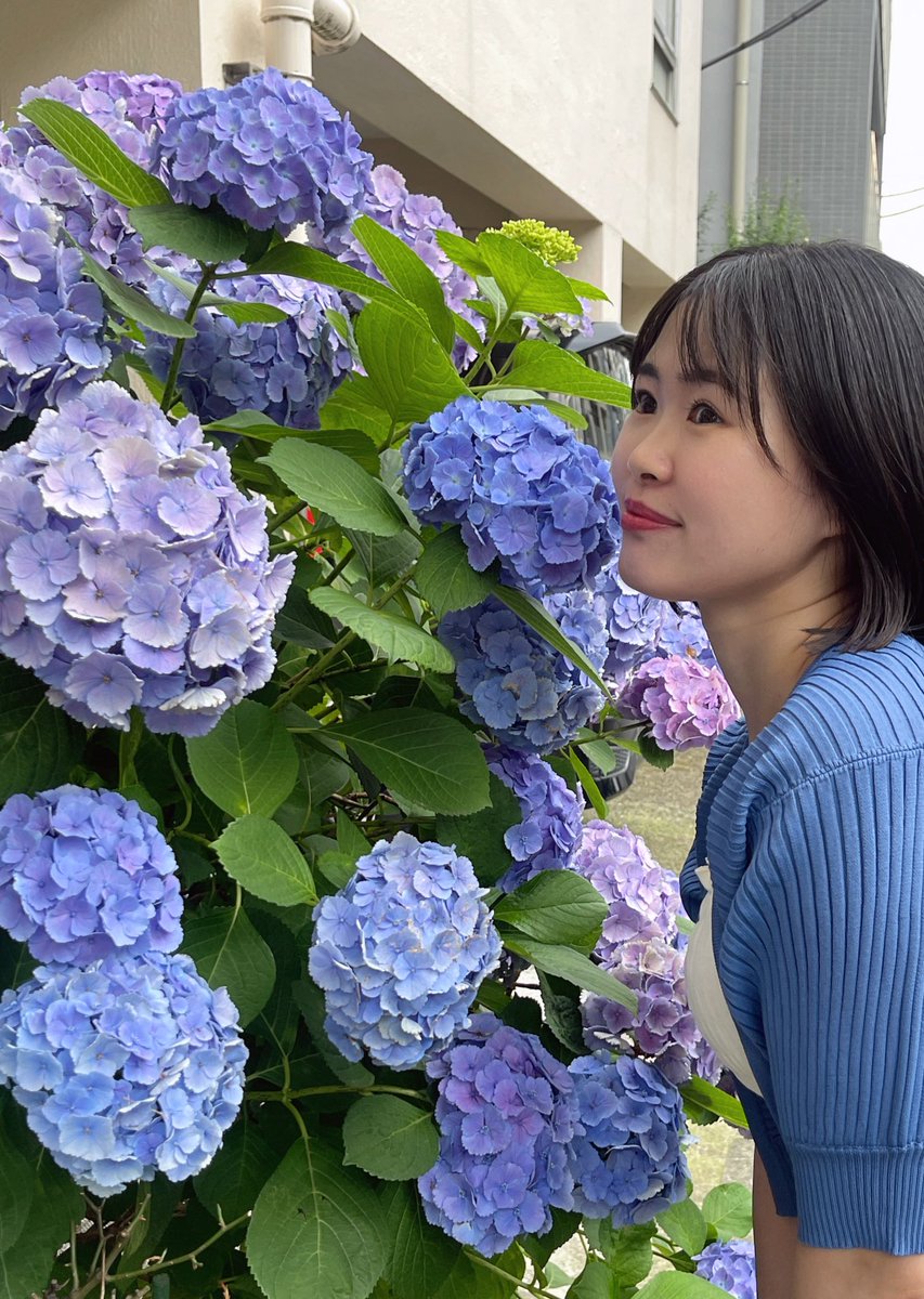 じめじめ暑いけど紫陽花が綺麗でテンション上がった🥰