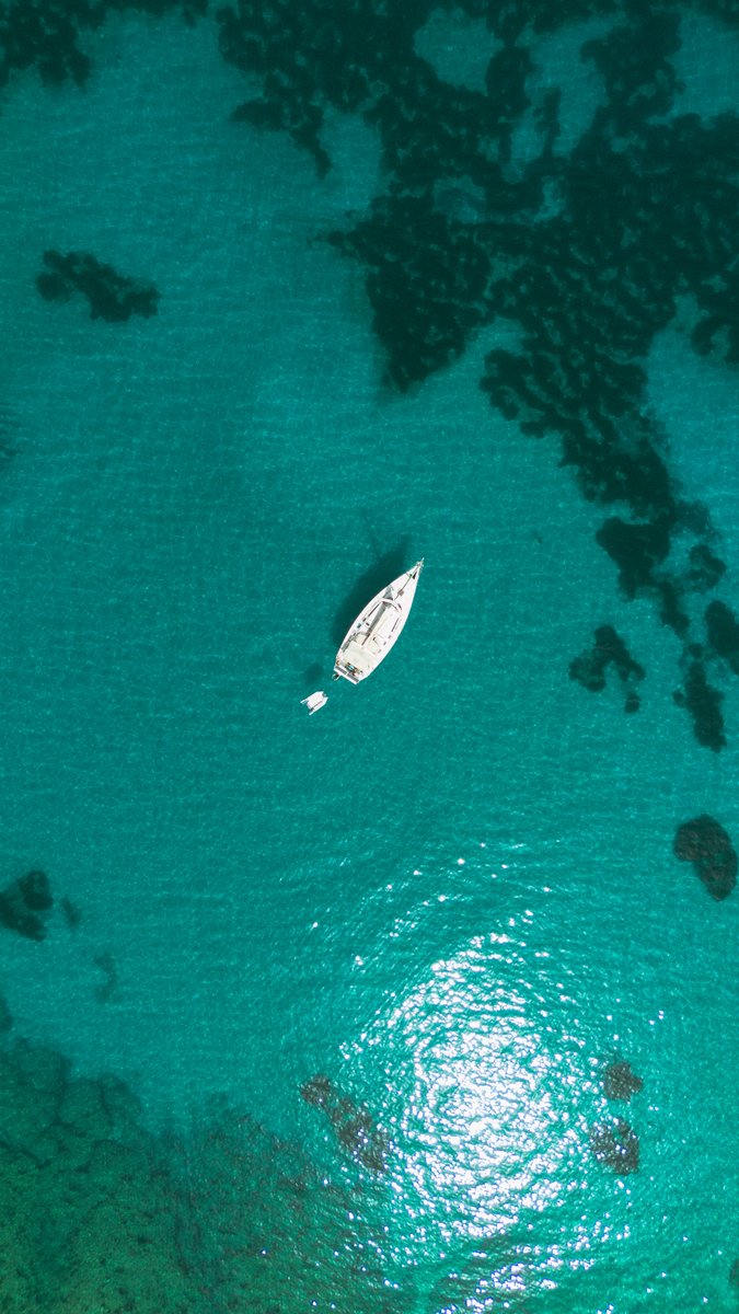 Alex Beddows tweet media