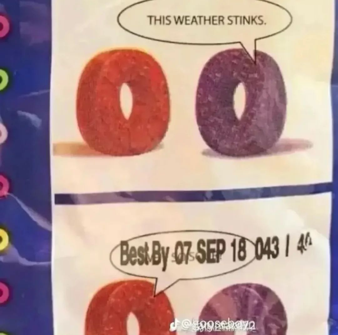 🕐HOURLY🕑 shitpost (@hourly_shitpost) on Twitter photo 