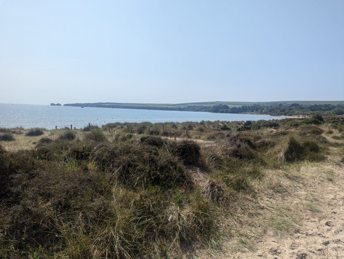 BWSixthFormVI's tweet photo. Our Year 12 Geographers wrapped up their time in Dorset with a fantastic final day, completing a sand dune transect and taking in the stunning views at Old Harry Rocks โ๏ธ๐๐ฆ๐#geographytrip #dorest #oldharryrocks https://t.co/qVHAZOgT96