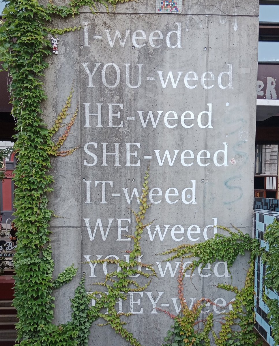Deckardio's tweet photo. "I weed / You weed / He weed / She weed / It weed / We weed / You weed / They weed" #graffiti #graffito #viajarcaminando #travelbyfoot👣 🌱🐨

https://t.co/UaO8c4TC1m 

#arteurbano #graffiti
#graffito #weed #viajarcaminando #travelbyfoot👣 https://t.co/YaIyTDjjah
