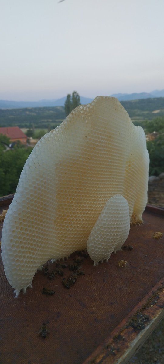 Природата ќе си го направи своето ако закасниш.