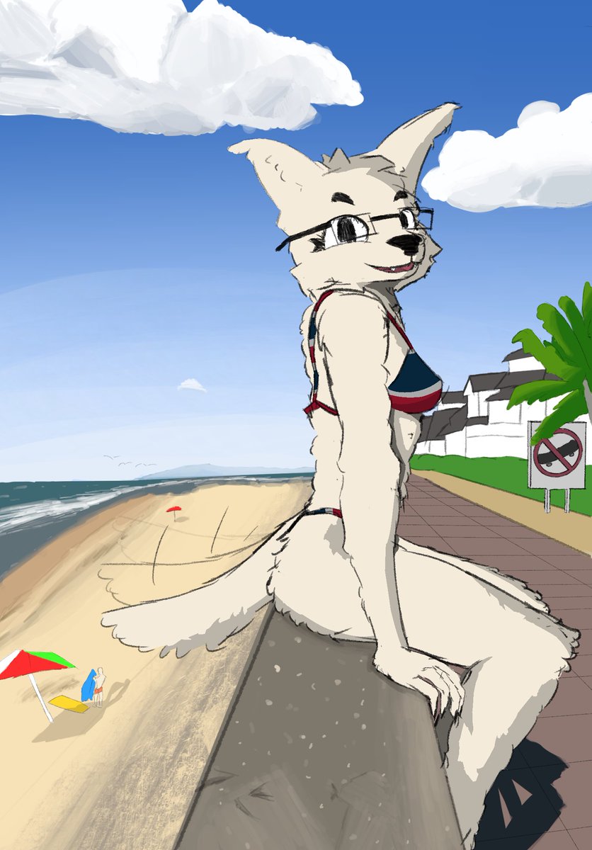 wifitorture's tweet image. 