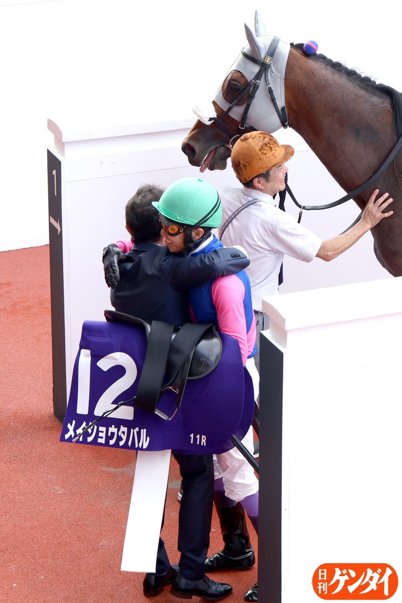 【メイショウタバル】アンリミクラシック メイショウタバル - 競走馬データTOP｜競馬予想のウマニティ