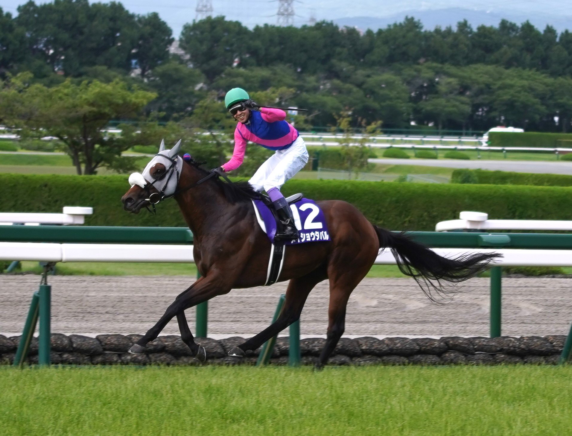上山競馬 ラスト·メモリアル 武豊騎手 - メルカリ