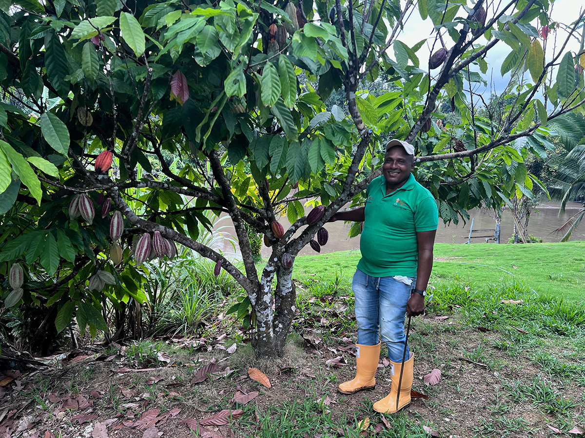 Luker Chocolate and the Case for #Cocoa  Trust 🤝🍫

📍 Tumaco, once marked by gang conflict, is now a hub for cocoa-for-peace transformation. Luker sources from 3,000+ producers here—many part of the “Chocolate Dream” initiative. It’s real, it’s working,  it’s changing lives.