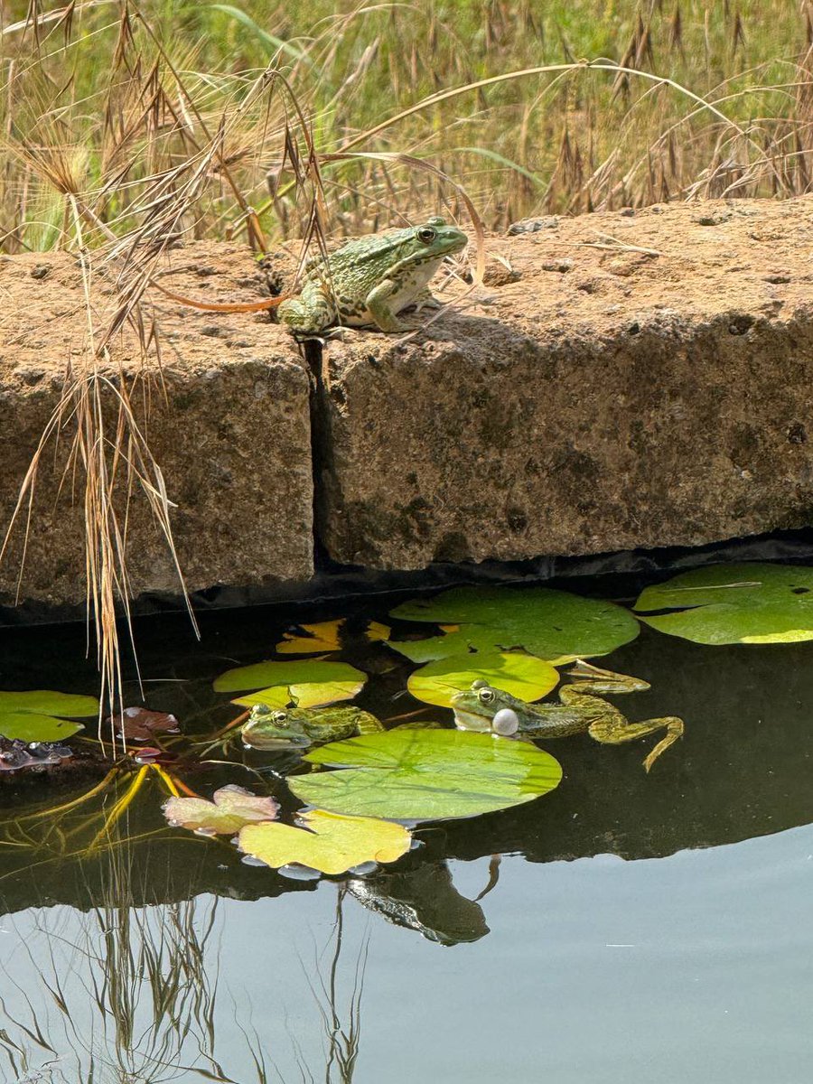 Noi tre amiche a fare aperitivo