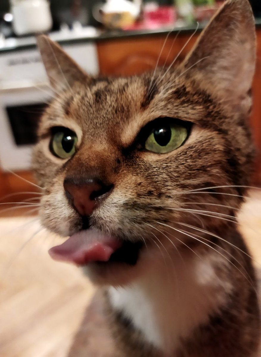 *звуки открытия банки тунца*

Тунцоприемник подан, положите тунец на тунцоприемник и никто не пострадает!