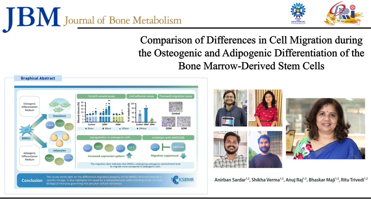 Excited to share our latest publication in the Journal of Bone Metabolism. We investigated how stem cells migrate differently during osteogenic vs. adipogenic differentiation. Many congratulations to the entire team for this achievement. #BONE #RESEARCH
shorturl.at/t2Dhe