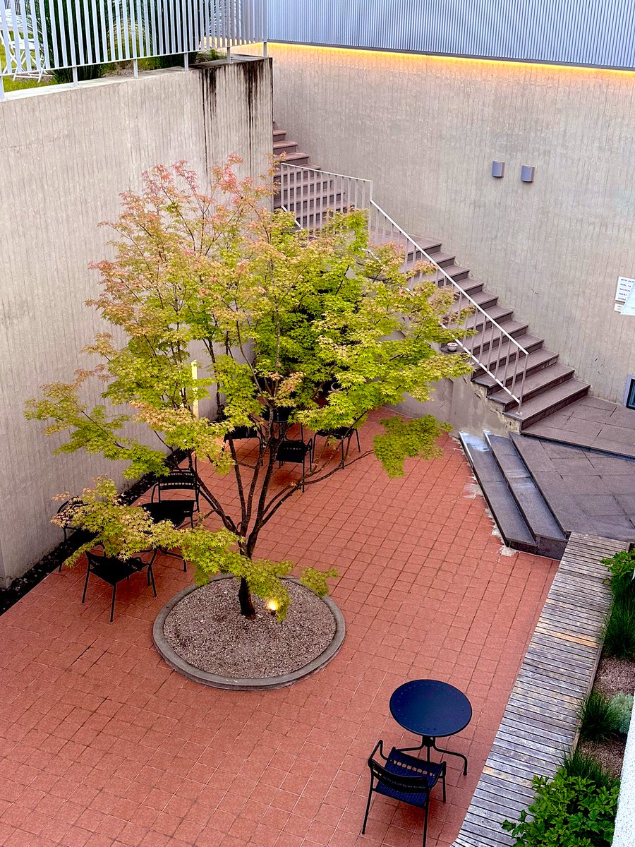 퇴근 중 문득 주7일 근무야 어쩔 수 없다지만 
산책만으로 연명하는건 좀 아쉽워서 맑은 공기 좀 먹을 겸 드라이브 ㅋㅋㅋ
#브리프저니 구름에 노을 지니 이쁘네 

밤하늘도 볼만 할거 같은데 마감이 😑

#경산 생활 두달이 되어가는구나~ 
#리틀 #팻 #슬브 #디그디 #팸섭 우렁각시가 필요하닷 😆