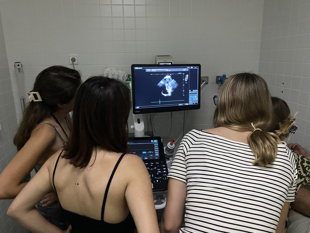 Cienfuuu's tweet photo. III Curso de Neurosonología para unidades de ictus en Girona 2025.  Muy contentos con el resultado. Gracias a las ponentes, a nuestros pacientes por su paciencia y sobre todo a los alumnos. Larga vida a la NRSL. https://t.co/iUbAtgPr5H