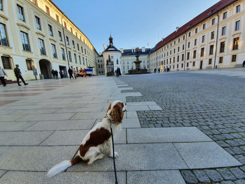 RJonTourUK (@rjontouruk) on Twitter photo Prague Castle is a dominant feature of the city’s skyline as it overlooks the Old Town and the River Vltava.
The castle is a beautiful complex of fortifications, a cathedral churches, gardens, and palaces.
rjontour.com/visit-prague-c… #prague #CzechRepublic #castles Prague Castle is a dominant feature of the city’s skyline as it overlooks the Old Town and the River Vltava.
The castle is a beautiful complex of fortifications, a cathedral churches, gardens, and palaces.
rjontour.com/visit-prague-c… #prague #CzechRepublic #castles