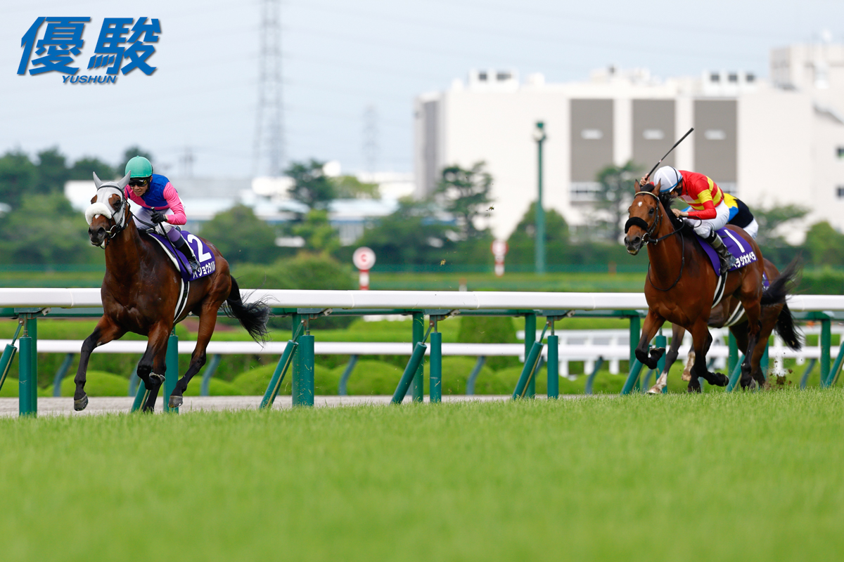 メイショウタバル の #武豊 騎手は2006年(ディープインパクト)以来の