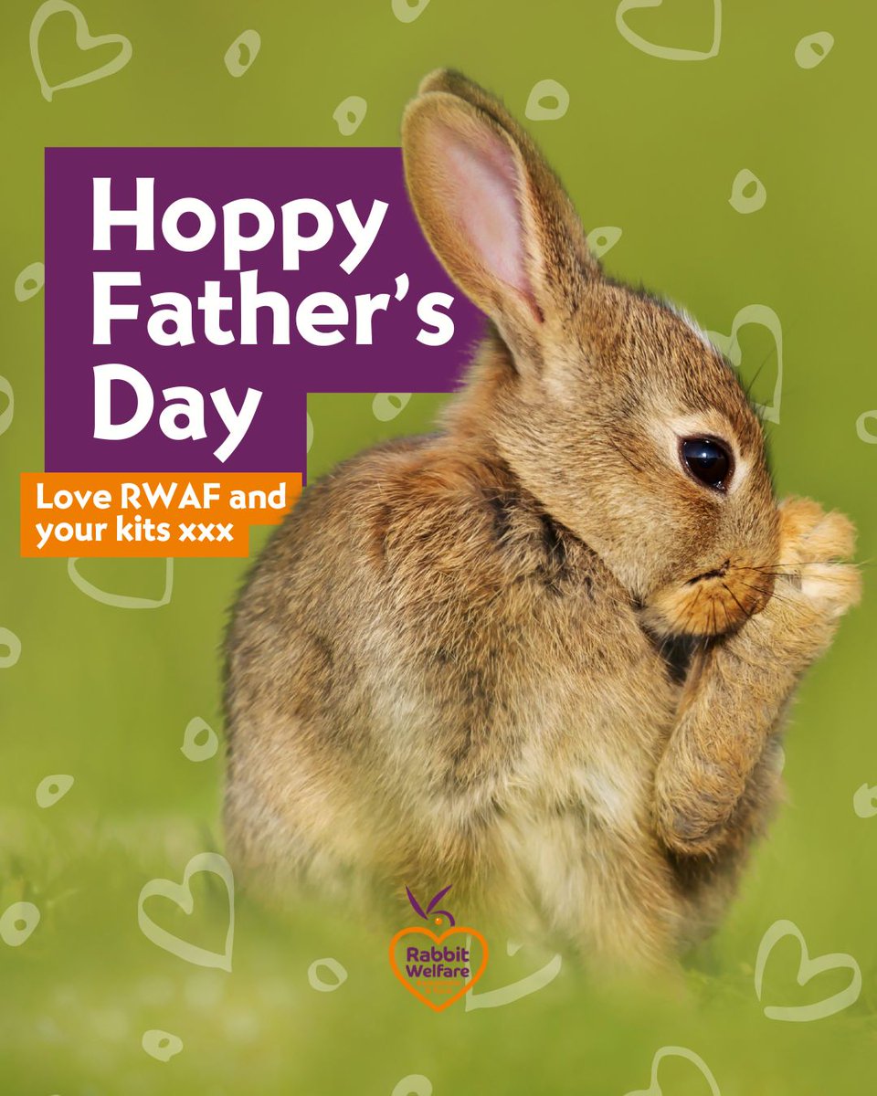 RabbitRWAF's tweet image. Happy Father's Day to all the bun-derful rabbit dads out there 🐰🩵
#fathersday #dad #rabbitdad #bundad