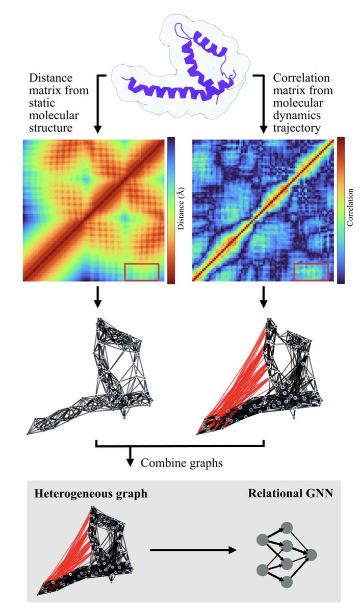 Boosting Protein Graph Representations through Static-Dynamic Fusion

１．This work introduces a new graph representation that combines static structural data with dynamic correlations derived from molecular dynamics (MD) trajectories, enabling richer modeling of protein