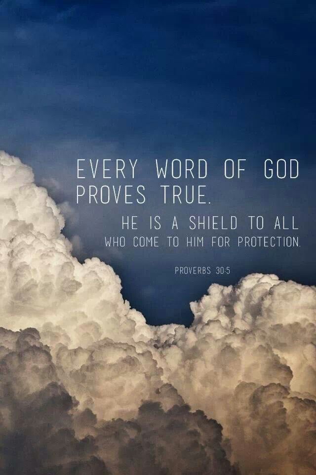 jojodocus's tweet image. Vanmorgen in de kerk samen het heilig avondmaal gevierd. Korte preek over Spreuken 30:5. #verootmoediging #verlossing #genade #zondag