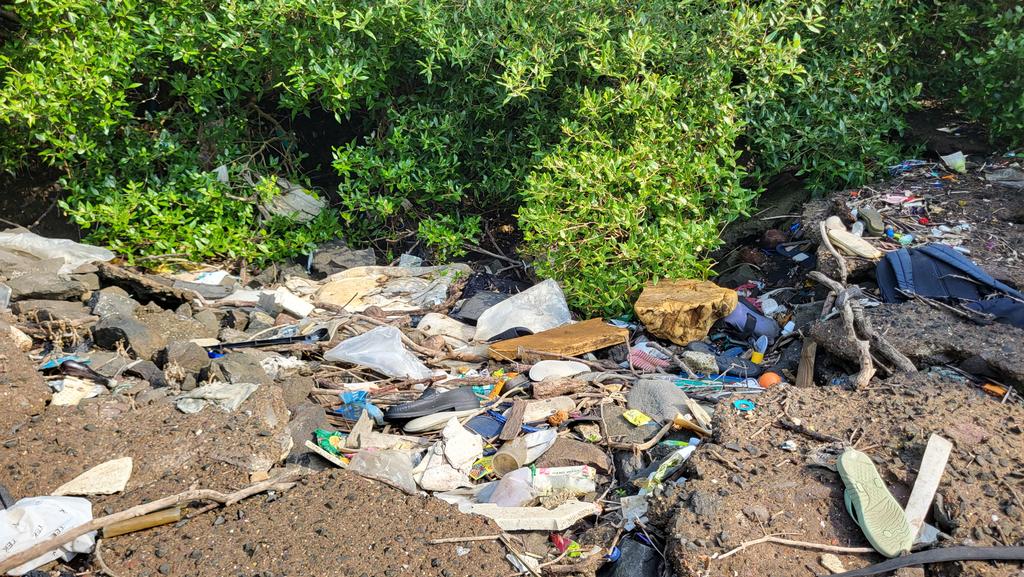 dharmeshbarai's tweet photo. Week 252 #MangrovesCleanupDrive
We request every citizen:
Don’t litter. Use a dustbin. Be a protector.
Every irresponsible littering leads to ocean pollution and loss of millions aquatic life.
Stop littering. Start picking up.
#CoastalCleanup
@MangroveForest @ParveenKaswan https://t.co/bOTysBWNt8