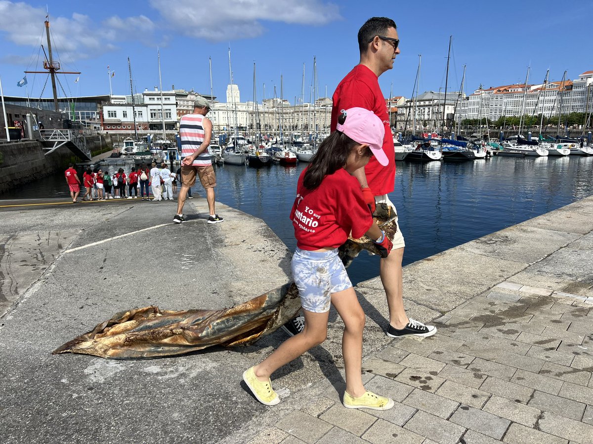 Festival Mar de Mares tweet media