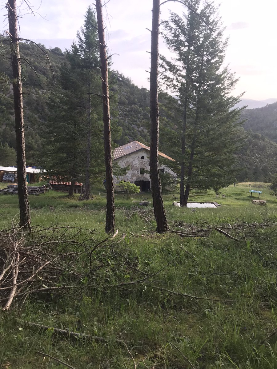 Jose manuel (@tordo33) on Twitter photo #semprefemcim
Pirineu en la seua major essècia
Cap de Boumort 2077 metres
#pallarssobira
#pirineu
<a href="/julinomdedeu/">juli nomdedeu</a>
<a href="/PoblesValAbando/">Pobles Abandonats</a>
<a href="/MuntanyaV/">Muntanya Valenciana</a> #semprefemcim
Pirineu en la seua major essècia
Cap de Boumort 2077 metres
#pallarssobira
#pirineu
<a href="/julinomdedeu/">juli nomdedeu</a>
<a href="/PoblesValAbando/">Pobles Abandonats</a>
<a href="/MuntanyaV/">Muntanya Valenciana</a>