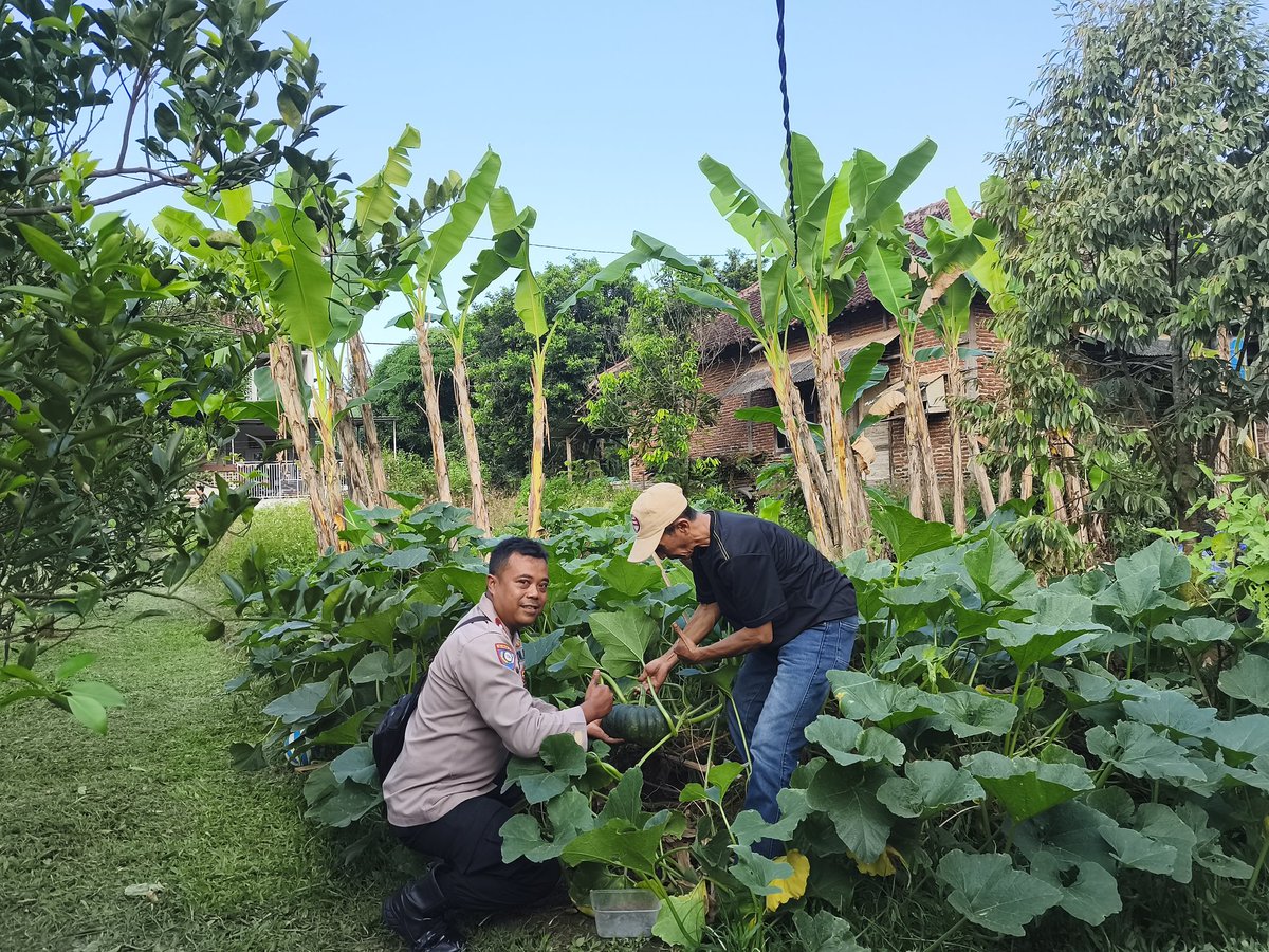 tri_zulf's tweet photo. Dalam rangka mendukung program ketahanan pangan, Bhabinkamtibmas kalisegoro menyambangi lahan milik warga yang dimanfaatkan sebagai lahan pertanian. 
#POLRIMENDUKUNGKETAHANANPANGAN
#SWASEMBADAPANGAN
#KETAHANANPANGAN
#POLISICINTAPETANI
#POLRESTABESSEMARANG
#POLDAJATENG https://t.co/RrmWruFrcE