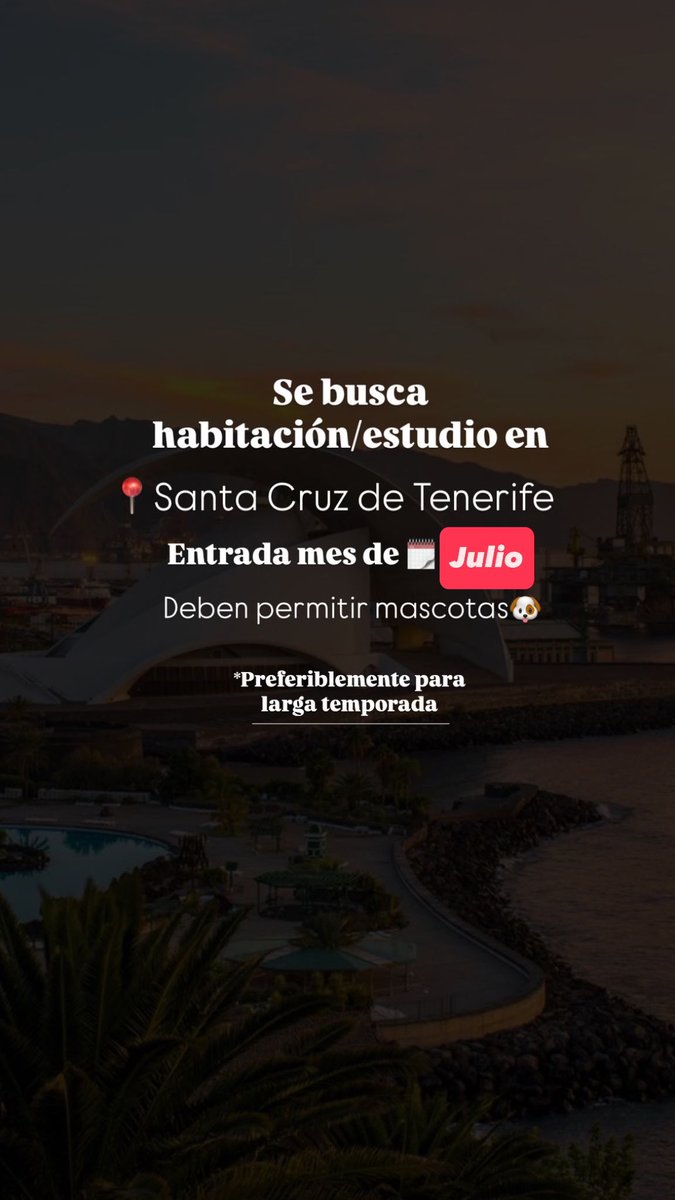 albertocram's tweet photo. Se busca piso/habitación/estudio en Santa Cruz de Tenerife para incorporación inmediata!! https://t.co/17dXUO0s2y