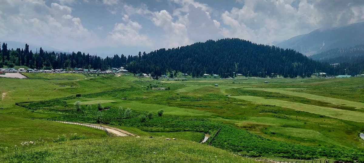AfshaaNabi's tweet photo. In the Meadows... ♥️
#Gulmarg... https://t.co/J5yxjrNPj0