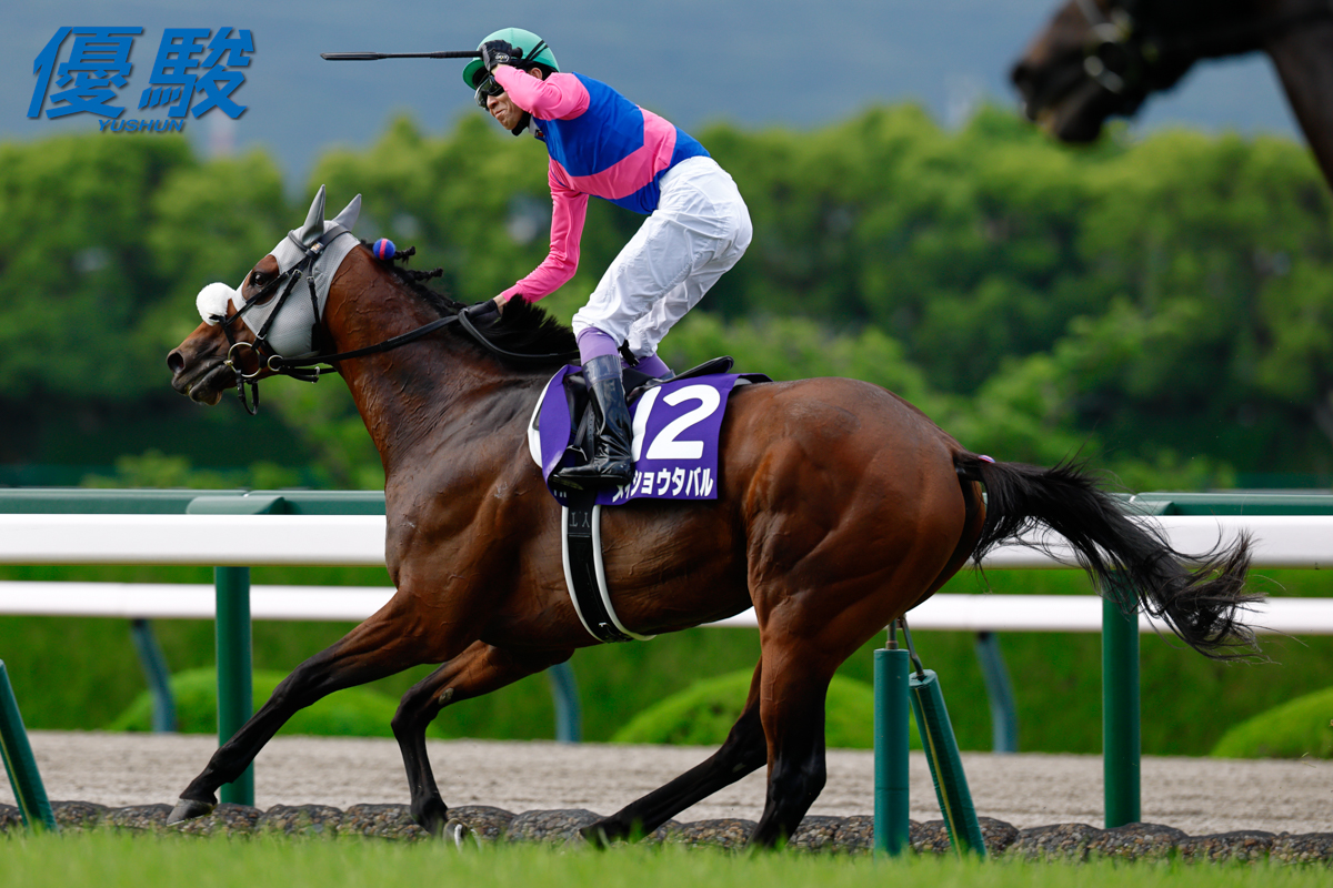 メイショウタバル の #武豊 騎手は2006年(ディープインパクト)以来の