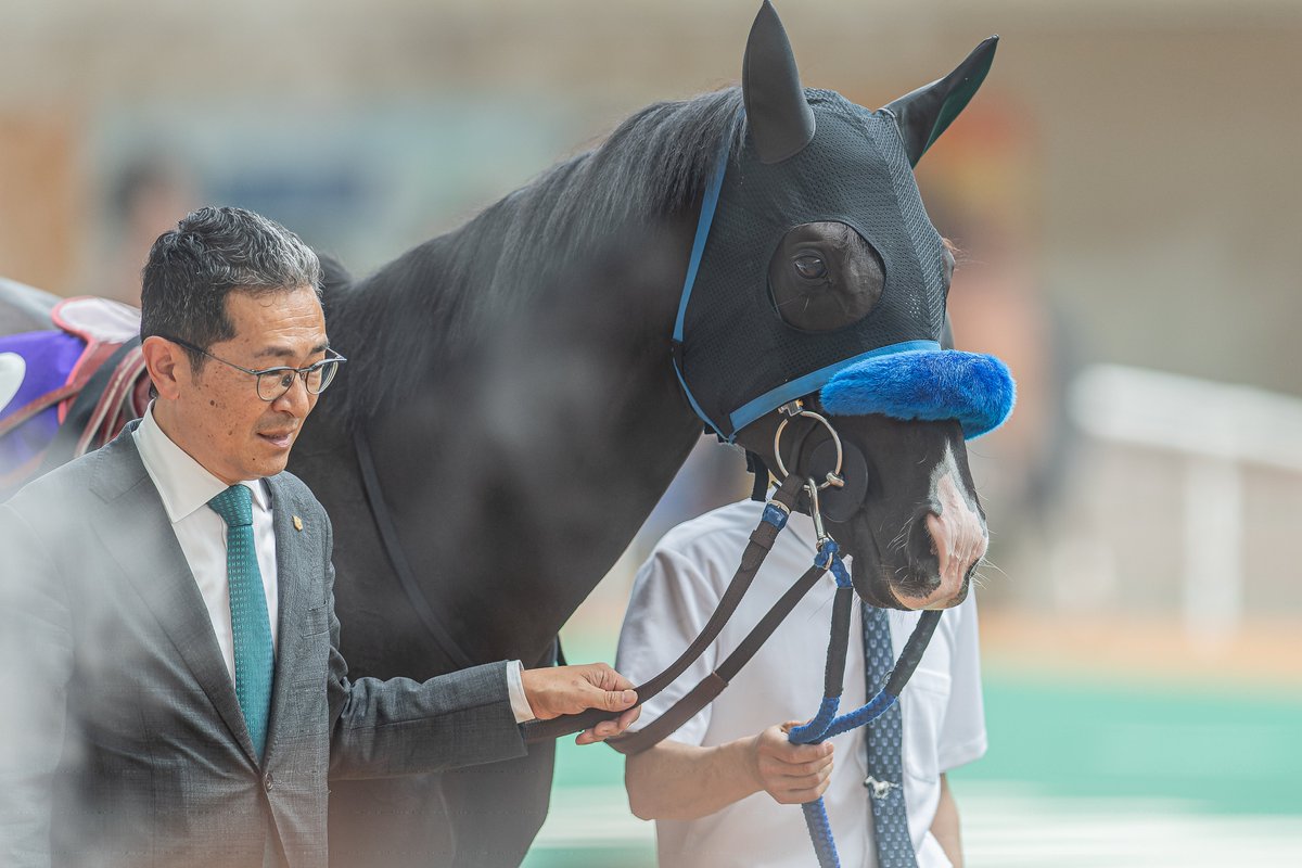 mozuuzumo's tweet photo. 幻想の世界から―――
尾関先生とドゥレッツァ

尾関先生が引いてるの何気に初見 https://t.co/o4W0OLyij3