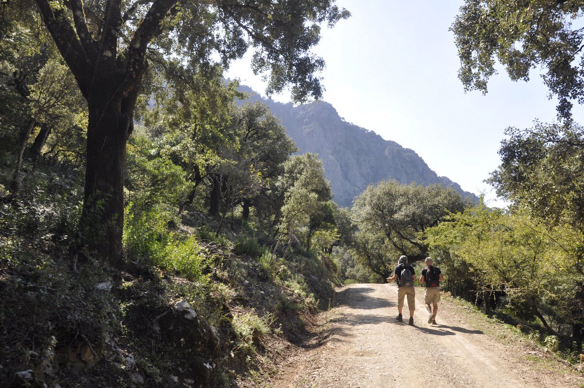 🌿 La Marca Parque Natural de Andalucía llega a las páginas de @OTWOMagazine, la revista que inspira sostenibilidad.

📰Un reportaje que pone en valor productos, paisajes y personas que cuidan nuestros espacios protegidos.

OTWO Magazine June 2025
🔗joom.ag/DPsd/p54