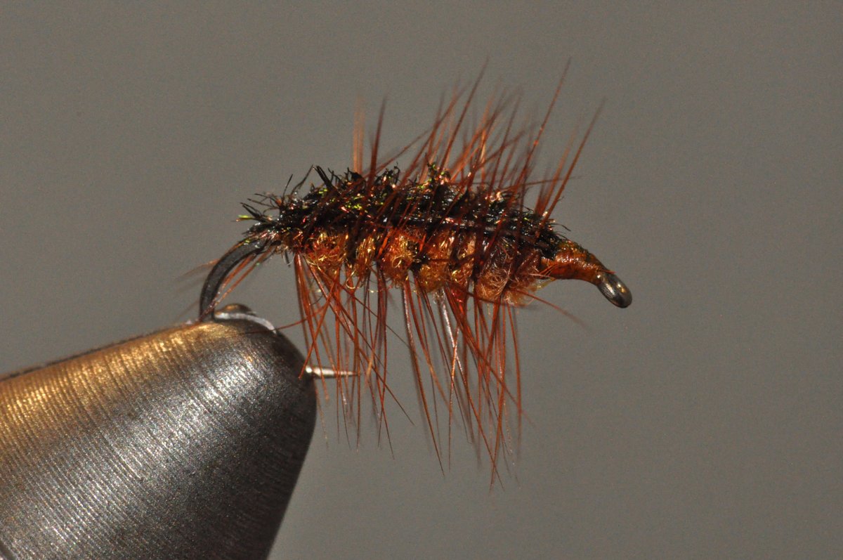 callaweginRob's tweet photo. This is a Crackleback variation. Size 16. The peacock cape is pulled over the hackle rather than wrapping the hackle over the cape. Used a little UV on the cape to help the peacock strength. To see the tying video, click on the following link:
https://t.co/giSifQTqR2 https://t.co/iOCj93XsVm